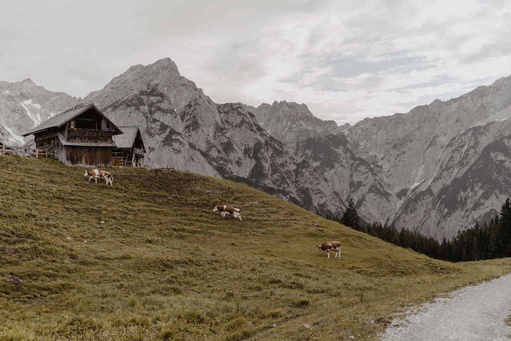 Paarshooting Verlobungsshooting Alm Berge Tirol